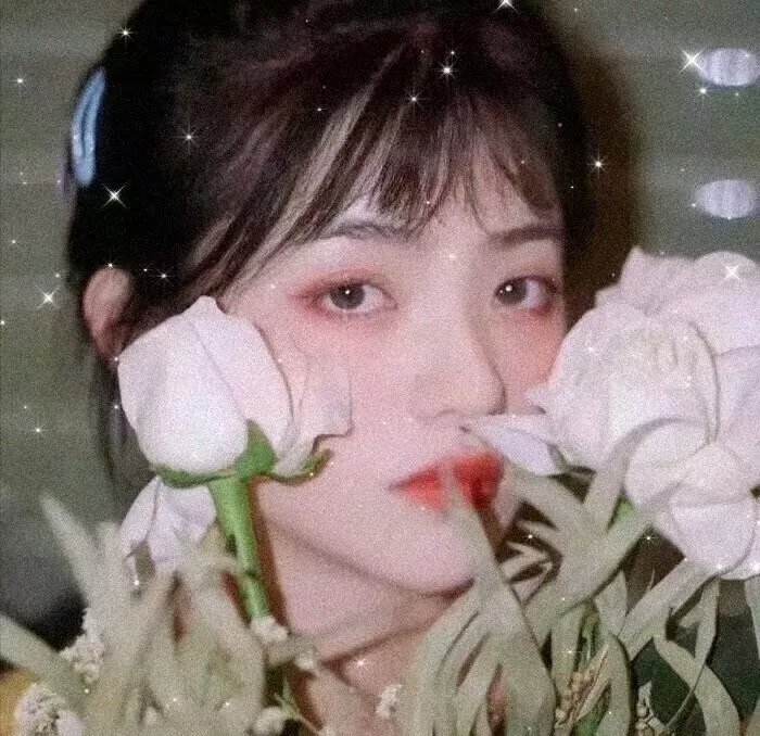 七小福再出击